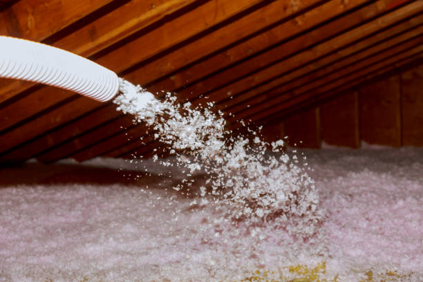Best Energy Efficiency Solutions in Hasley Nyon, CA
