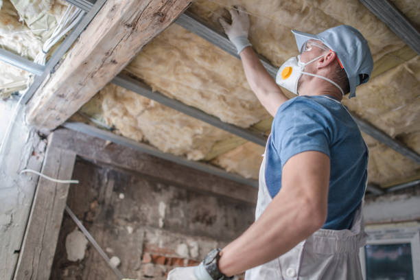Best Insulation for Specific Applications in Hasley Nyon, CA