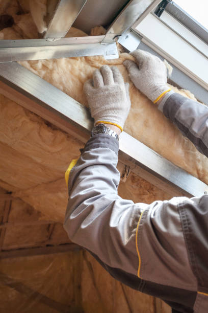 Best Types of Insulation in Hasley Nyon, CA