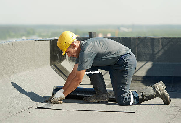 Best Commercial Insulation in Hasley Nyon, CA